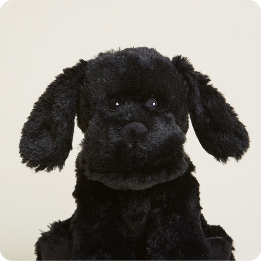 Black Labrador Warmies - Warmies